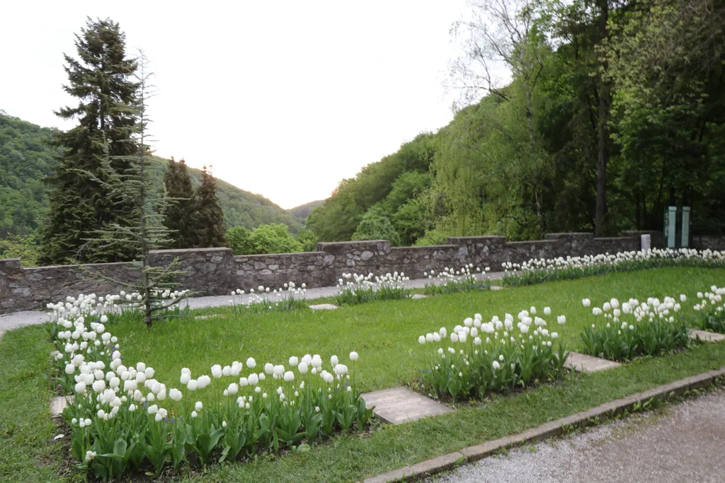 Forrás: Toplenszki Szabolcs / Miskolc.hu 