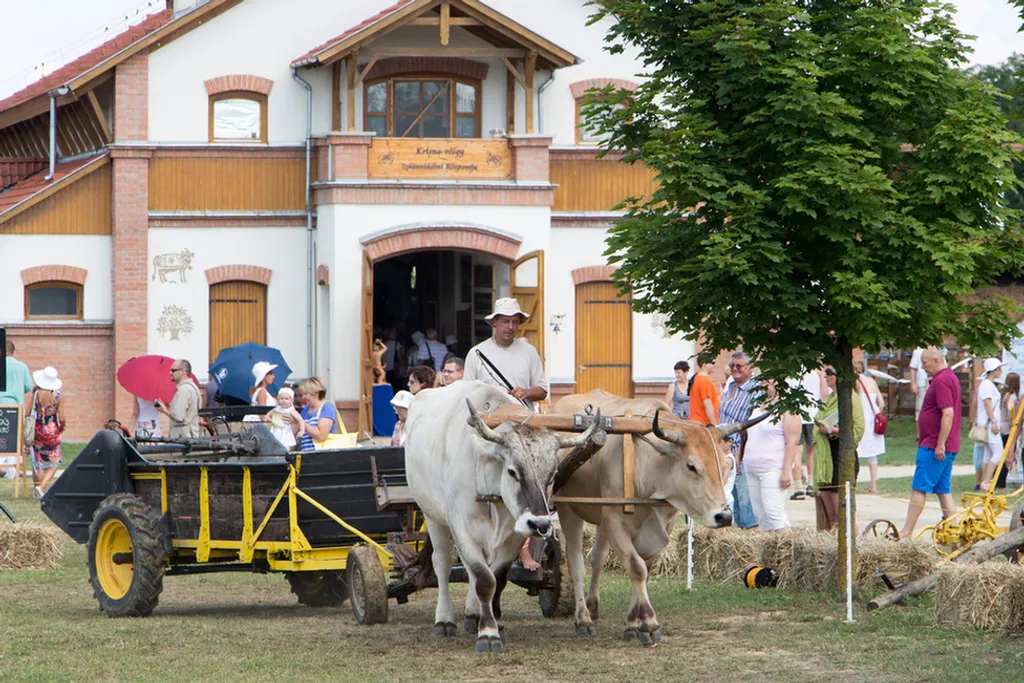 Fotó: Krisna.hu 