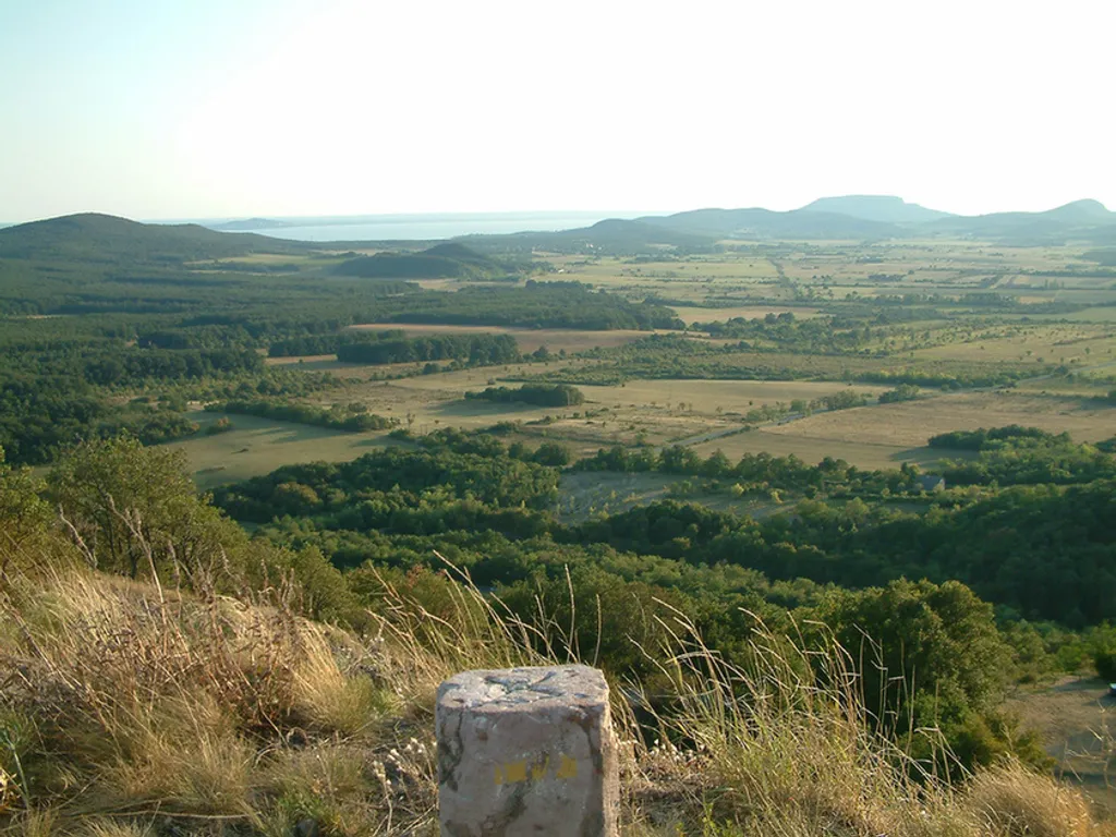Fotó: Vincze Győző 