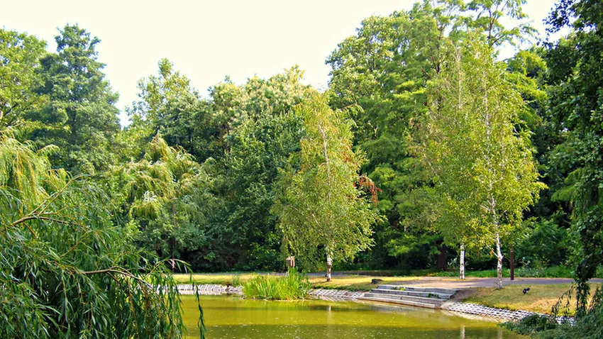 Debrecen rákapcsol a wellnessre