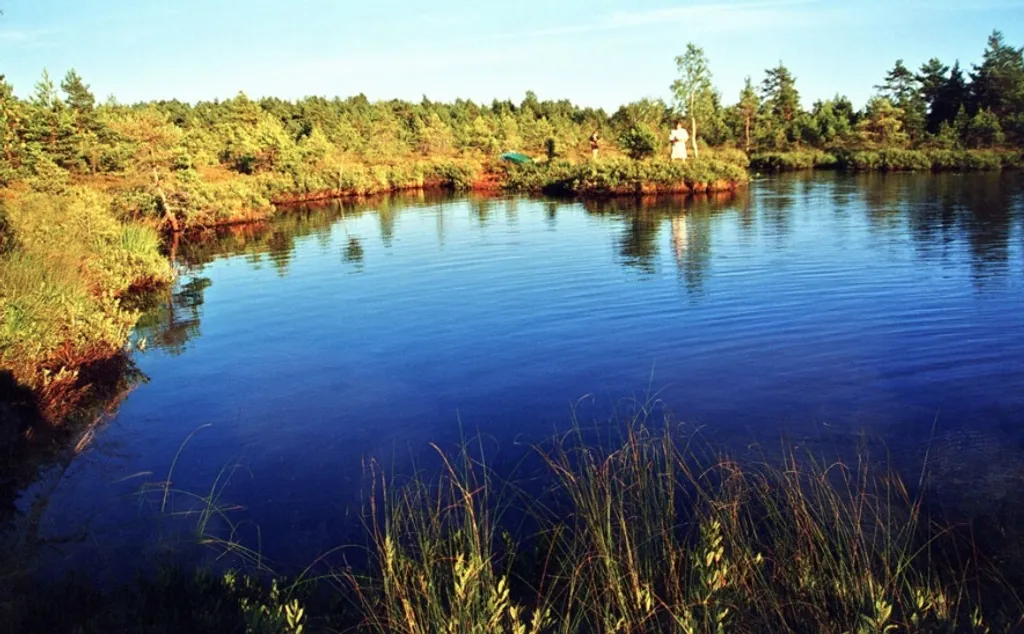 Fotó: visitsaaremaa.ee 