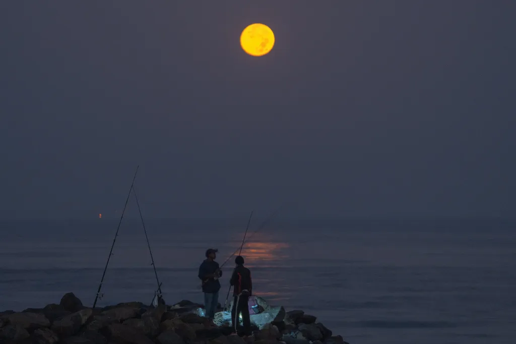 Forrás: NurPhoto via AFP/Thilina Kaluthotage/NurPhoto/Thilina Kaluthotage