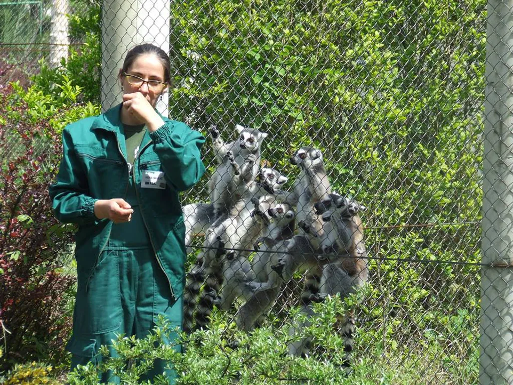 Fotó: Zoo Palic / Facebook 