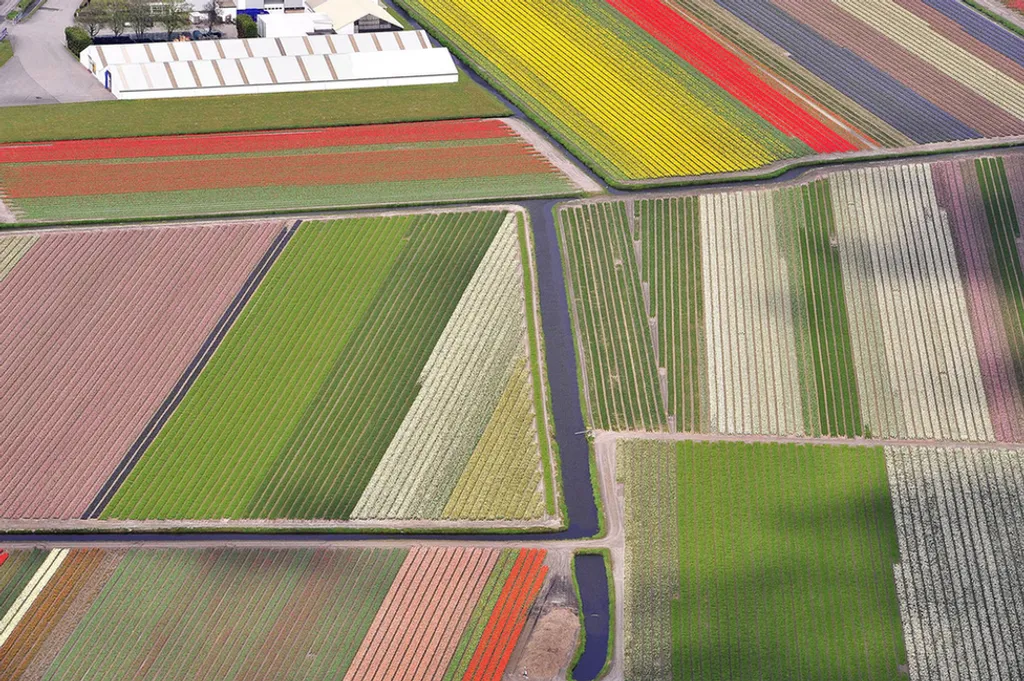 Fotó: Solent News Photo Agency / Northfoto 