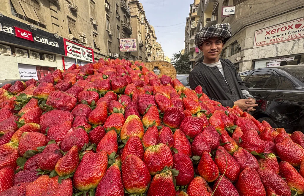 Forrás: Anadolu via AFP/2024 Anadolu/Rasit Aydogan