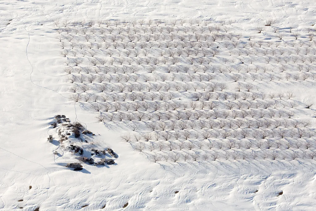 Fotó: Alex S. Maclean / Barcroft Usa / Northfoto
