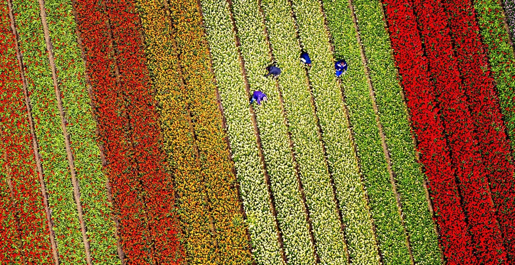Fotó: Jerry Lampen / MTI / EPA 