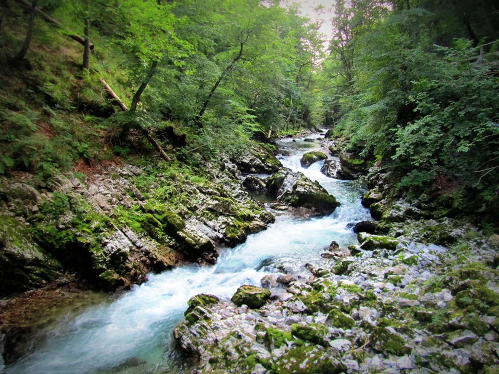 Fotó: mimi / Travelo 