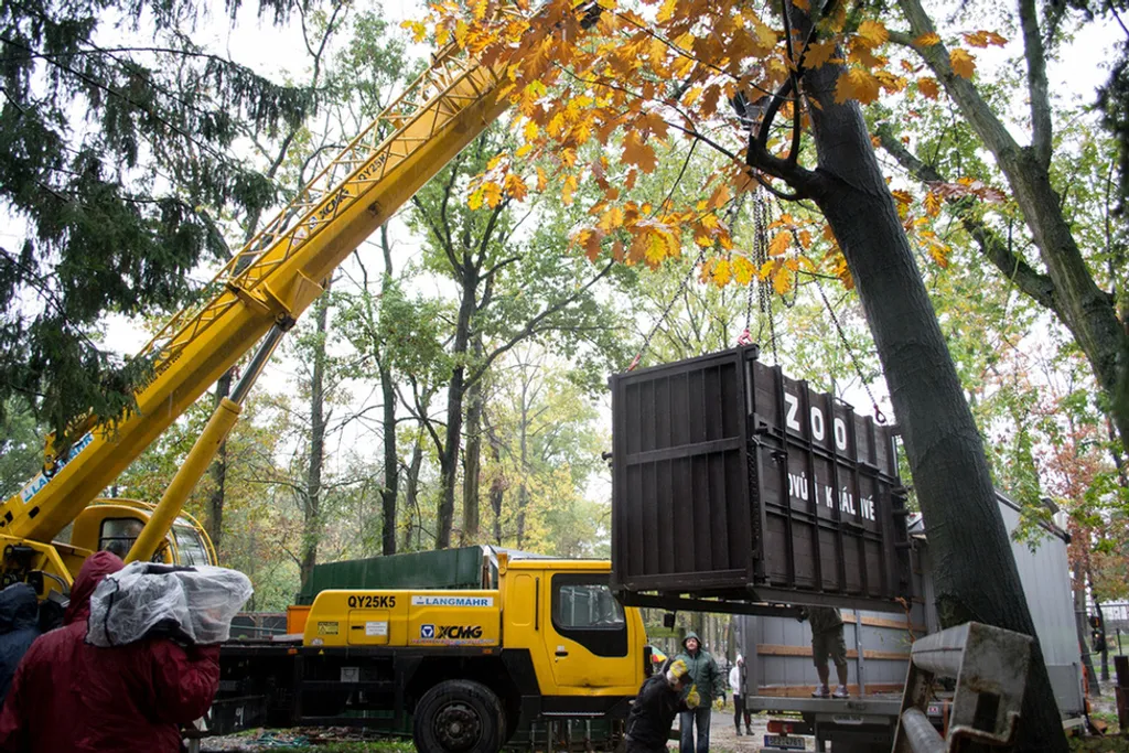 Fotó: Nyíregyházi Állatpark 