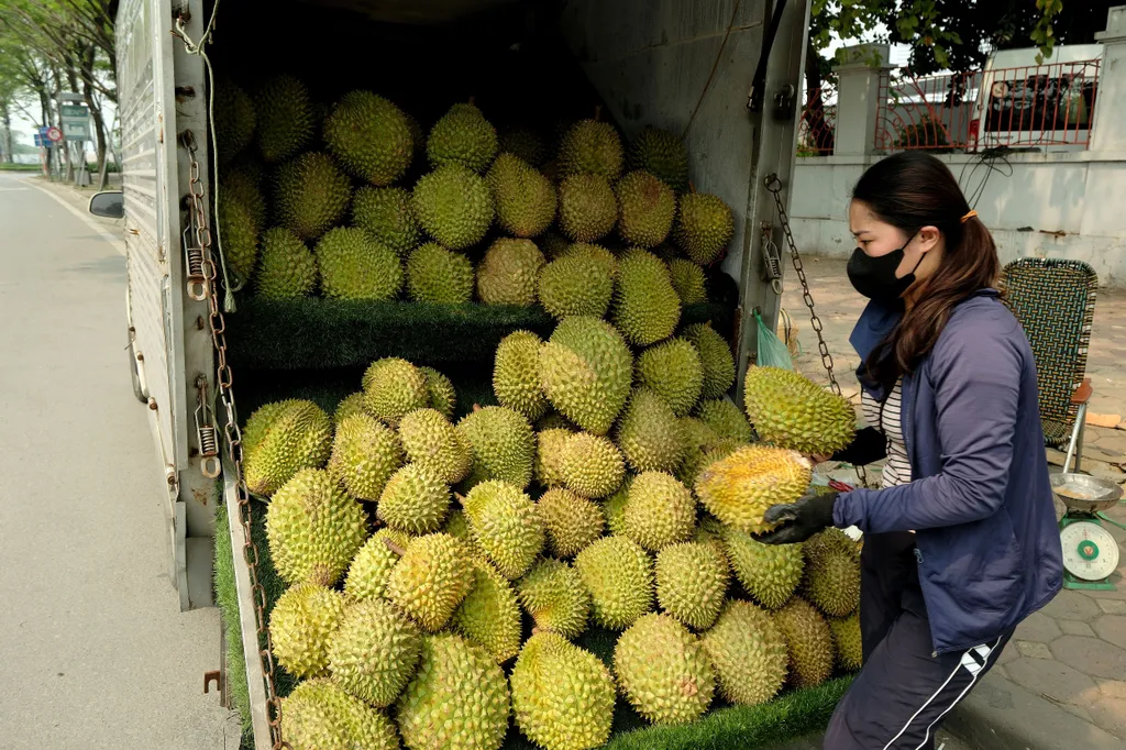 Forrás: MTI/EPA/Luong Thai Linh