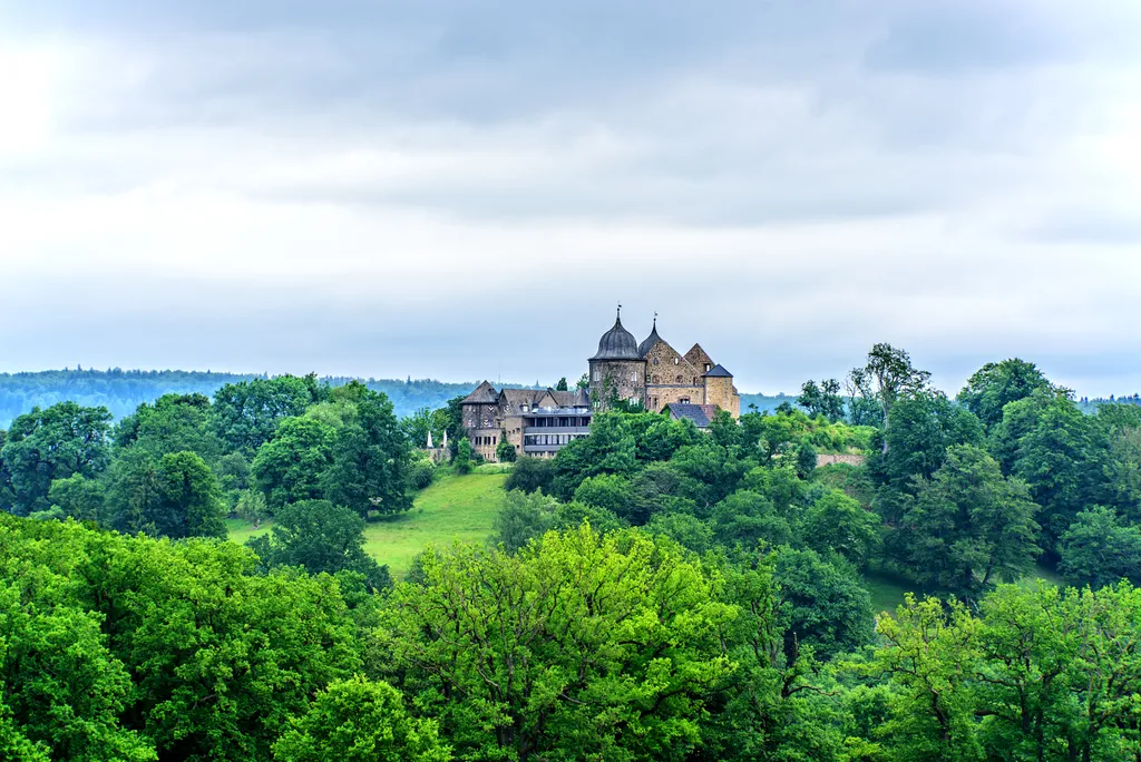 Forrás: Shutterstock 