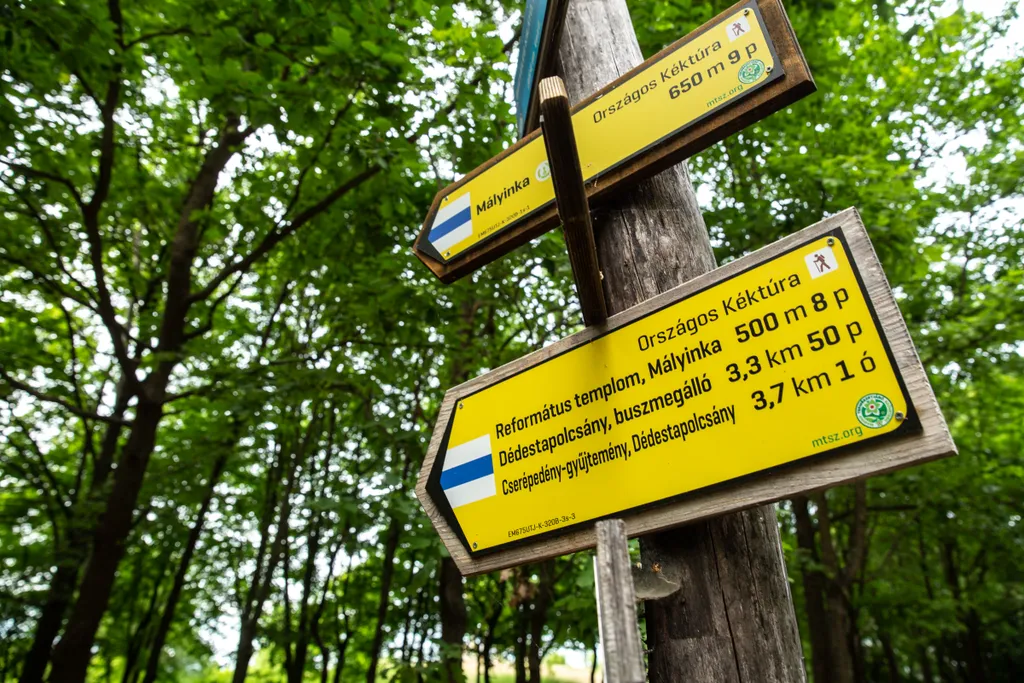 Forrás: Travelo 