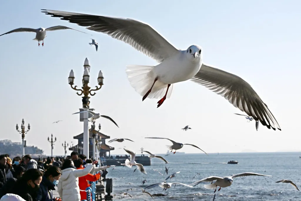 Forrás: Xinhua via AFP/Xinhua News Agency.All Rights Reserved/Li Ziheng