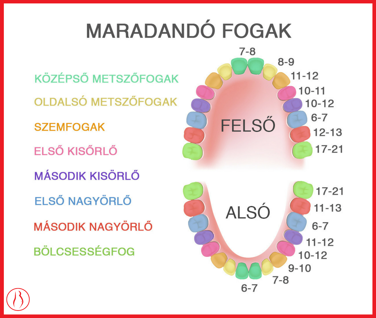 Tünde fogváltás fogváltás sorrendje