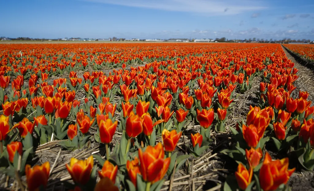 Fotó: Ye Pingfan Xinhua / eyevine / Northfoto 