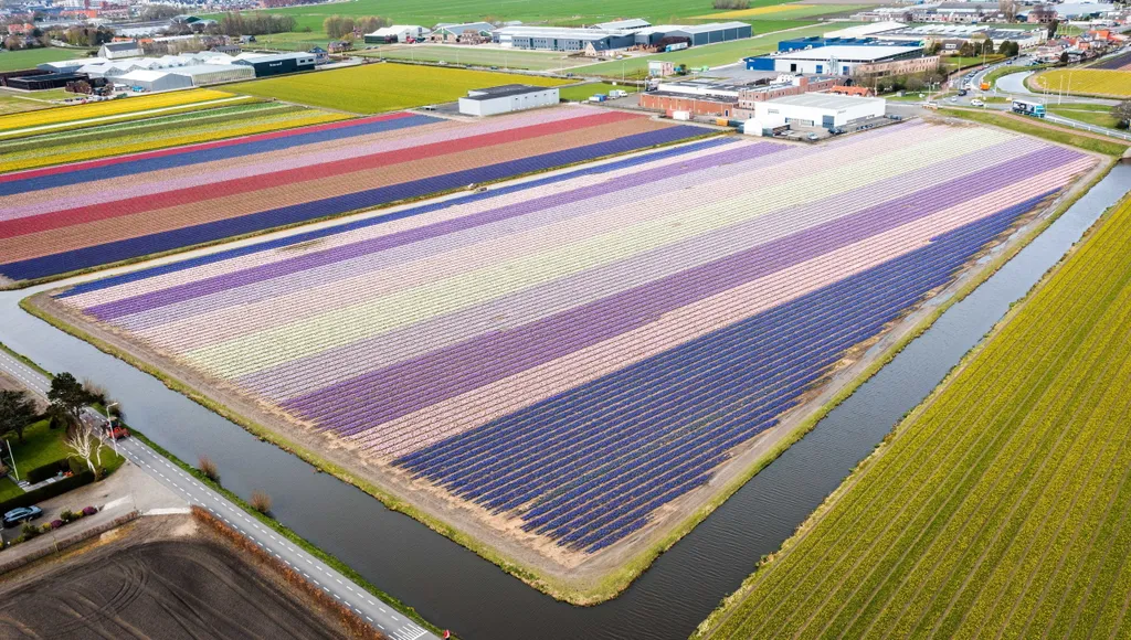 Forrás: MTI/EPA/ANP/Jeffrey Groeneweg