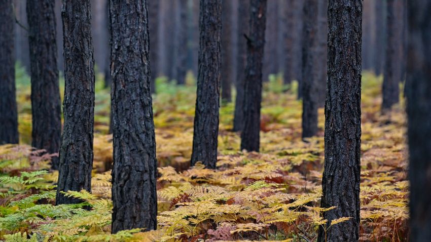 Képekben az elmúlt 24 óra - szeptember 29.