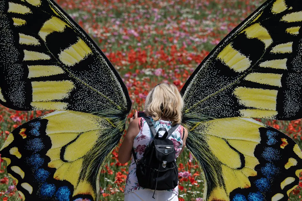 Forrás: dpa Picture-Alliance via AFP/Swen Pfortner