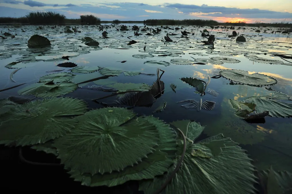 Fotó: Jeffrey Barbee / flickr 