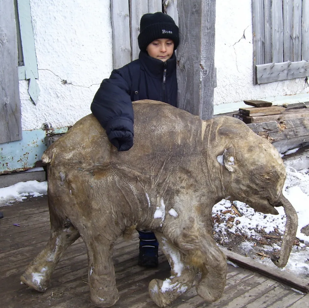 Fotó: Natural History Museum 