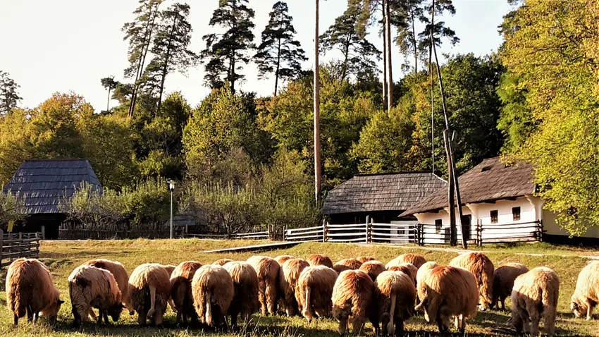 Európa legnagyobb skanzenjéhez induljon kelet felé!