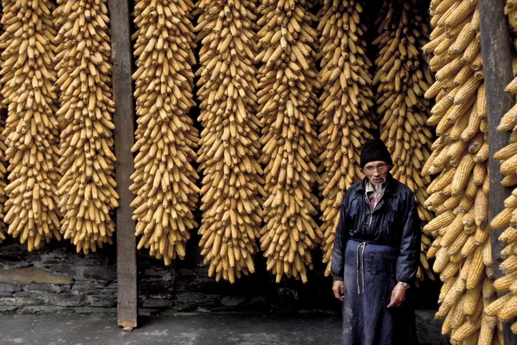 David Thurston / IGPOTY 