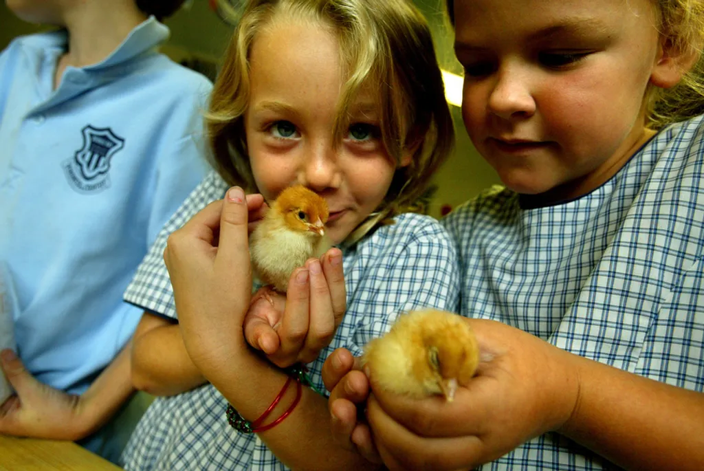 Fotó: The Sydney Morning Herald / Europress / Getty 