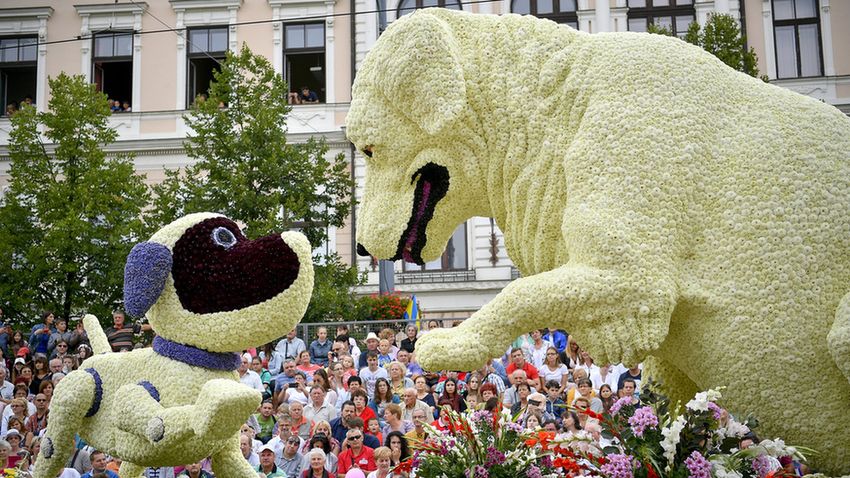 Debreceni Virágkarnevál 2017