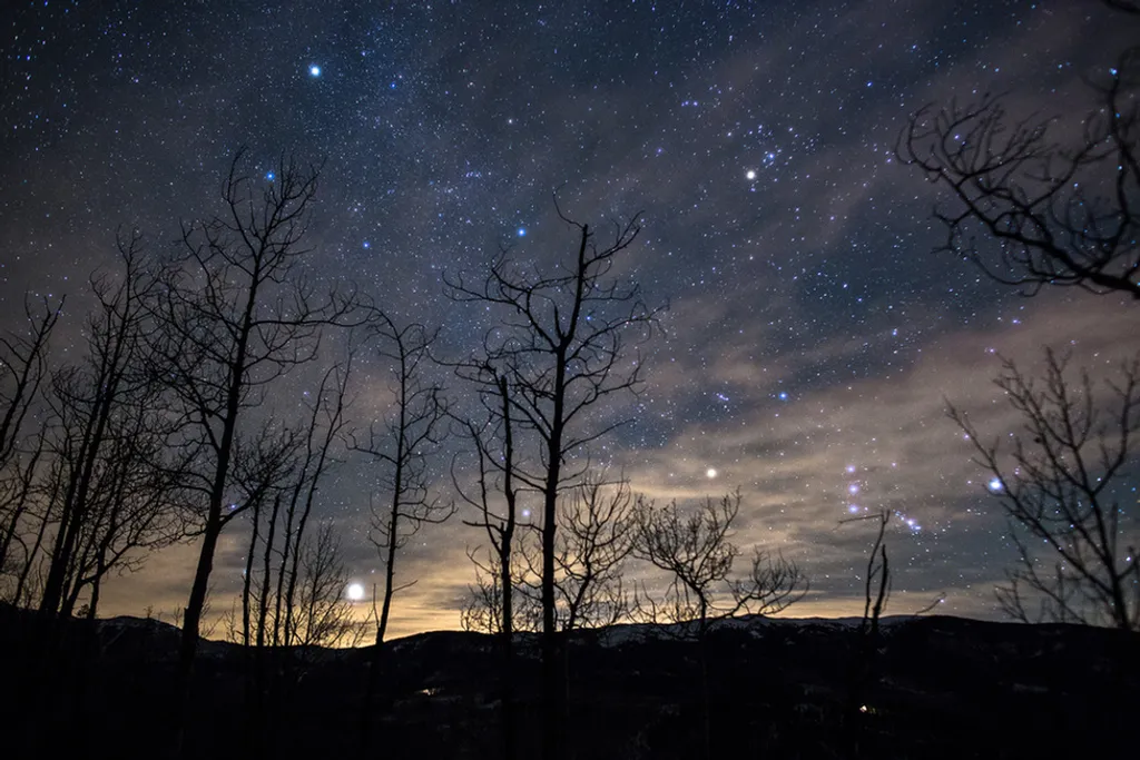 Fotó: Daniel Mcvey/barcroft Usa / Northfoto 