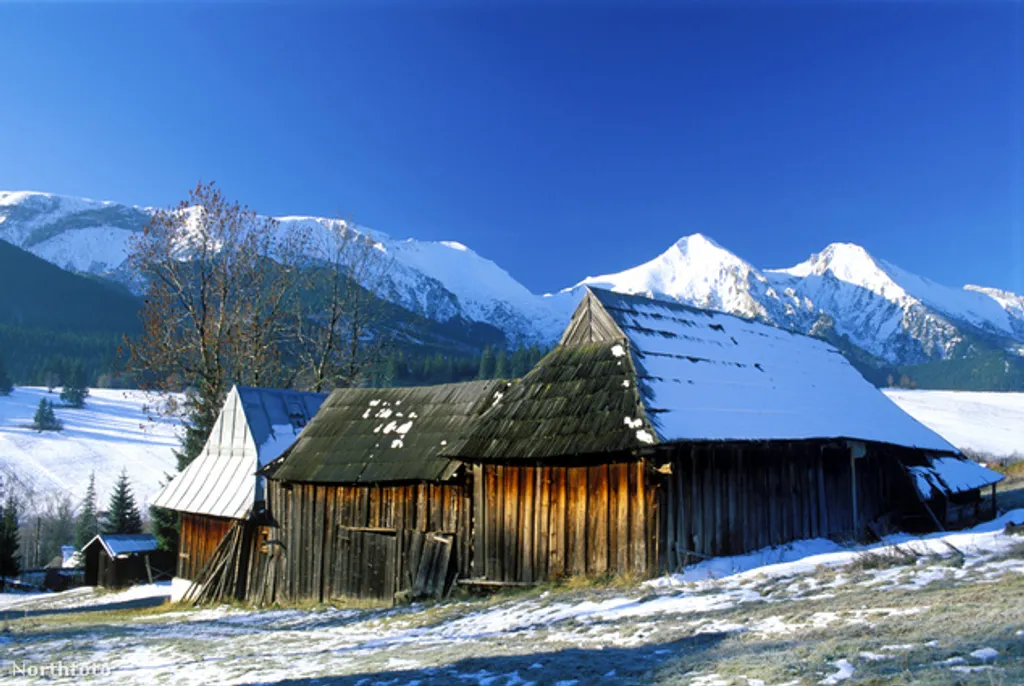 Fotó: Peter Banos / Northfoto 