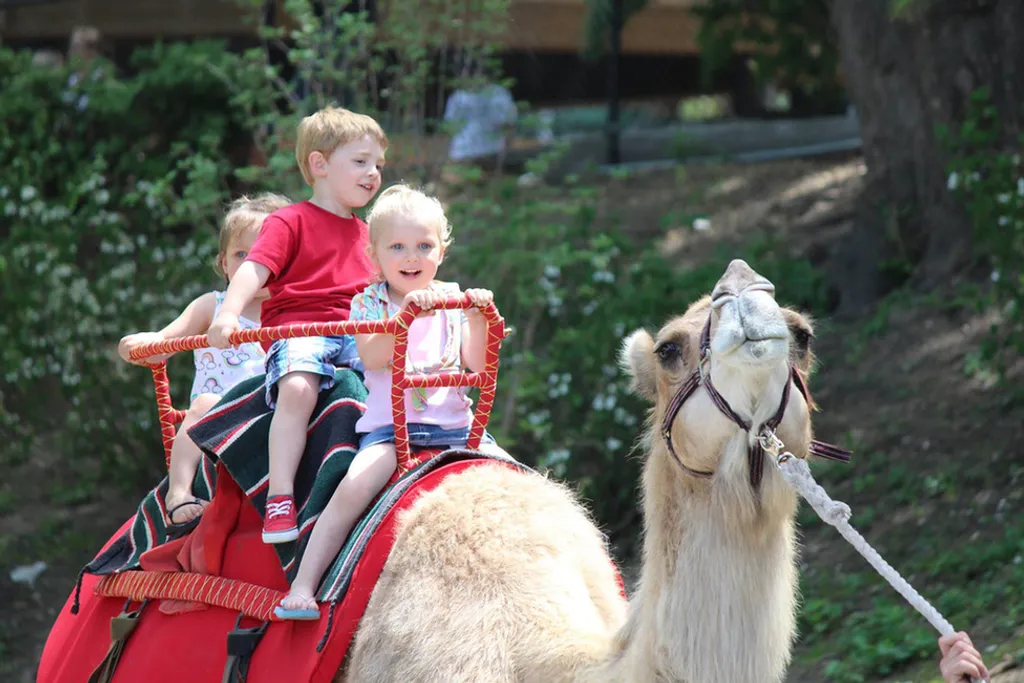 Fotó: Omaha's Henry Doorly Zoo and Aquarium 