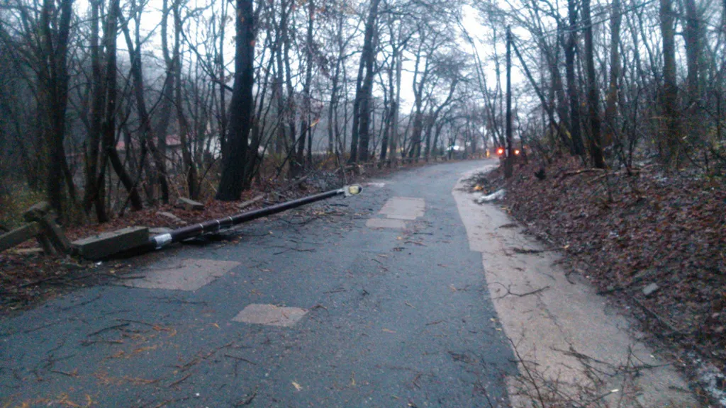 Fotó: Pilisi Parkerdő Zrt