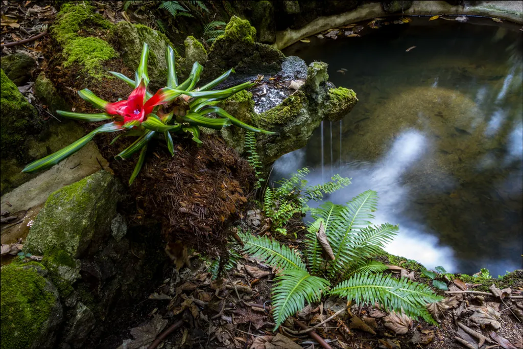 Cleon Santos / IGPOTY 