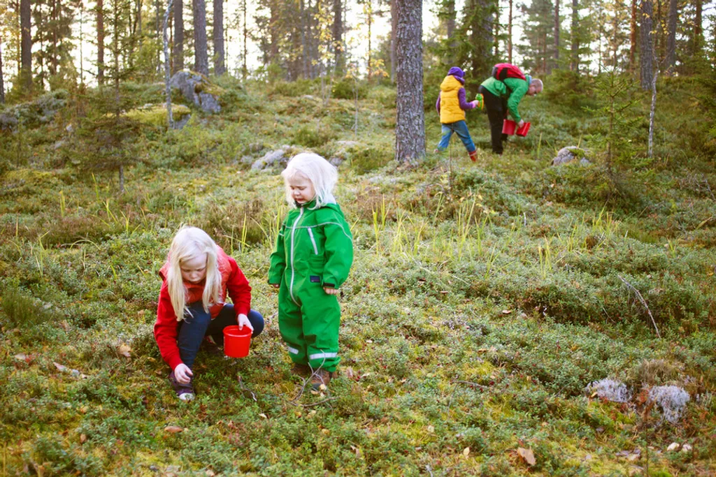 Fotó: Kristiina Kontoniemi / imagebank.sweden.se 
