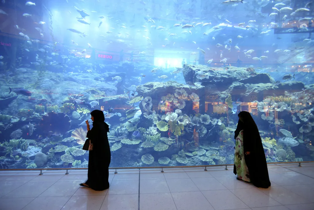 Aquarium, Dubai 