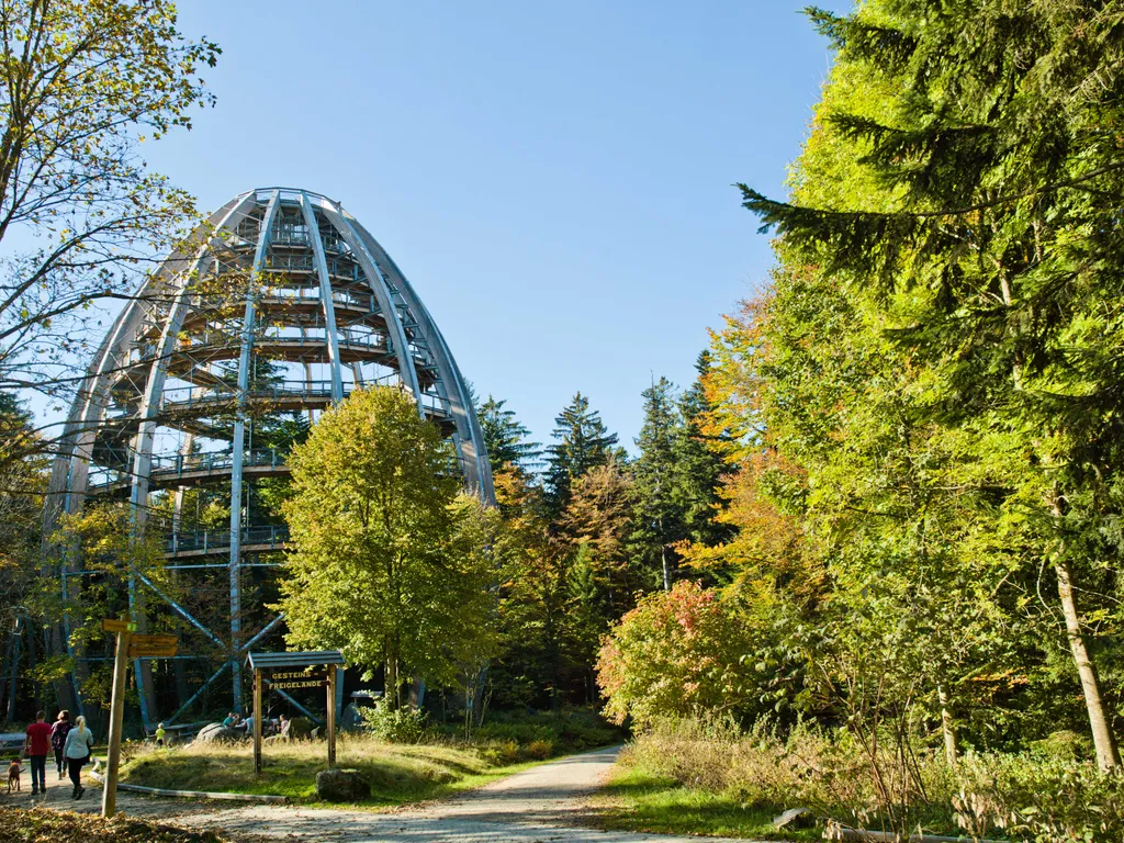 Forrás: Baumwipfelpfad.bayern 