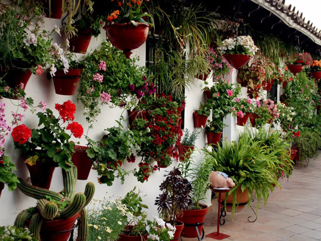 Fotó: patios.cordoba.es 