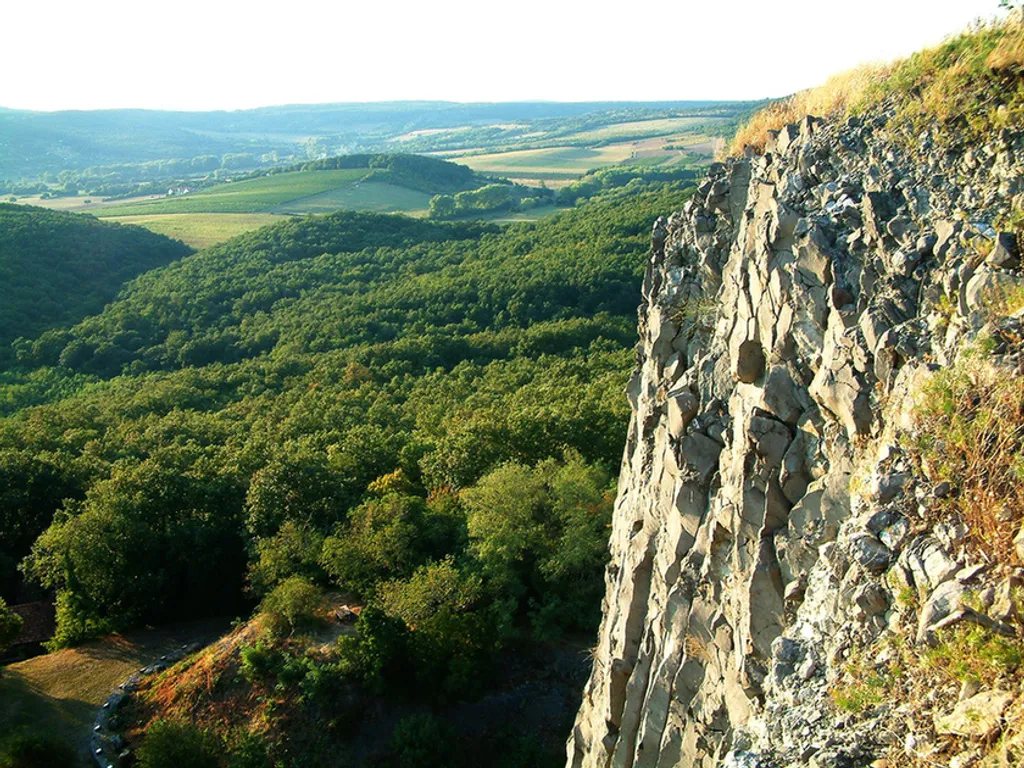 Fotó: Vincze Győző 
