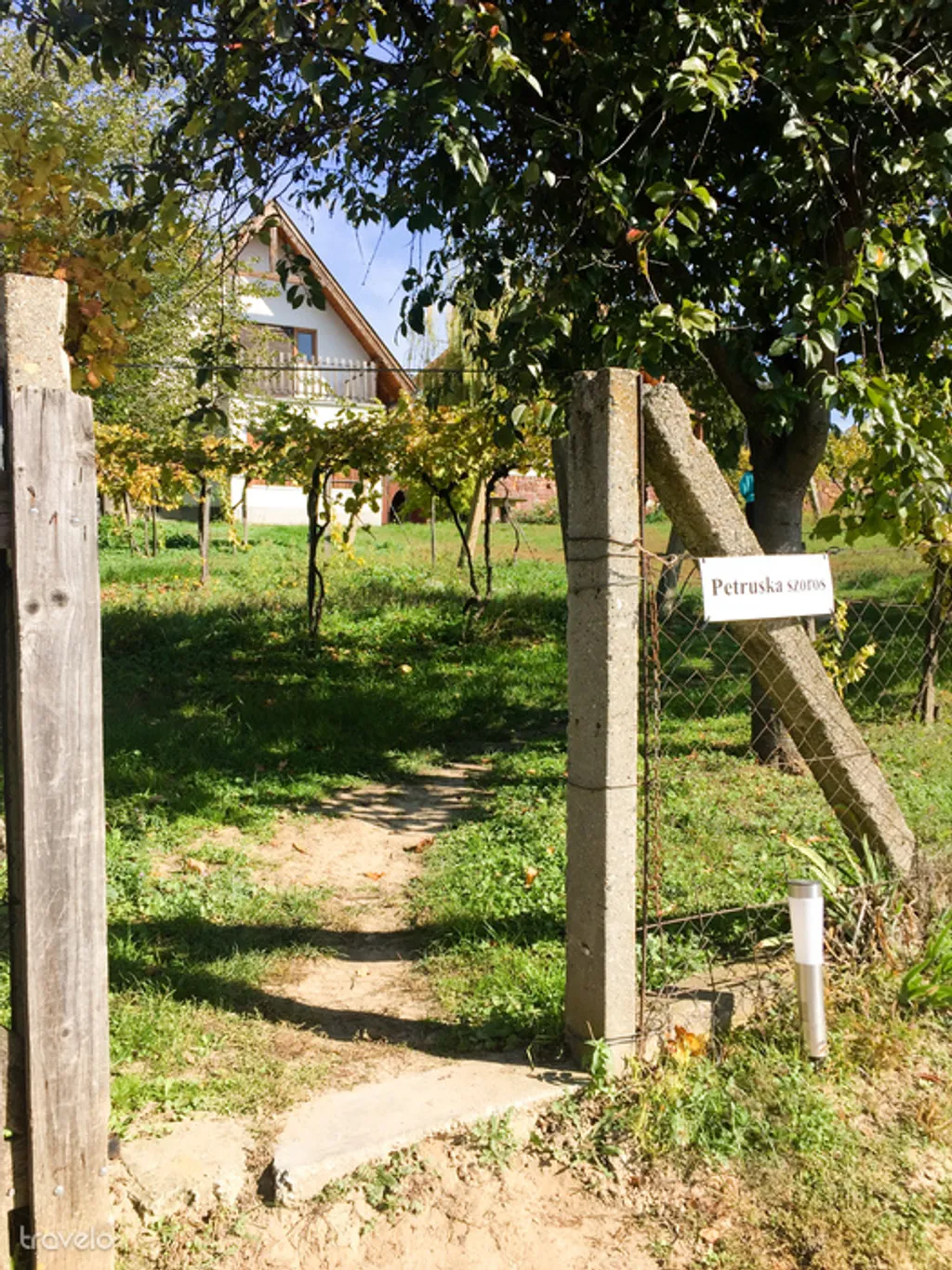 Fotó: Csikesz Mariann 