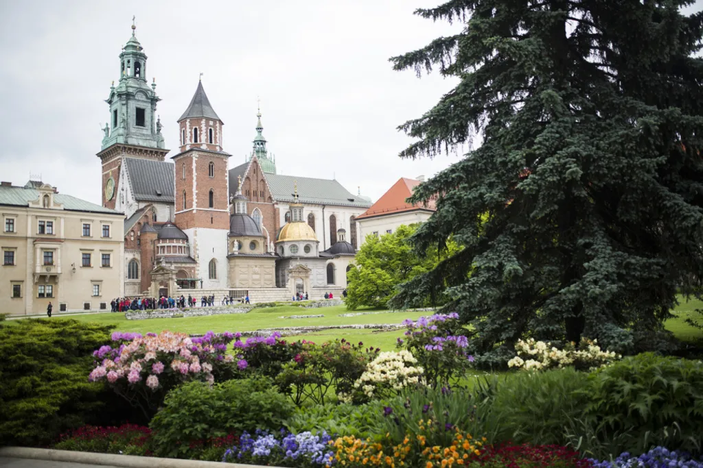 Nicolaus Czarnecki / Northfoto 