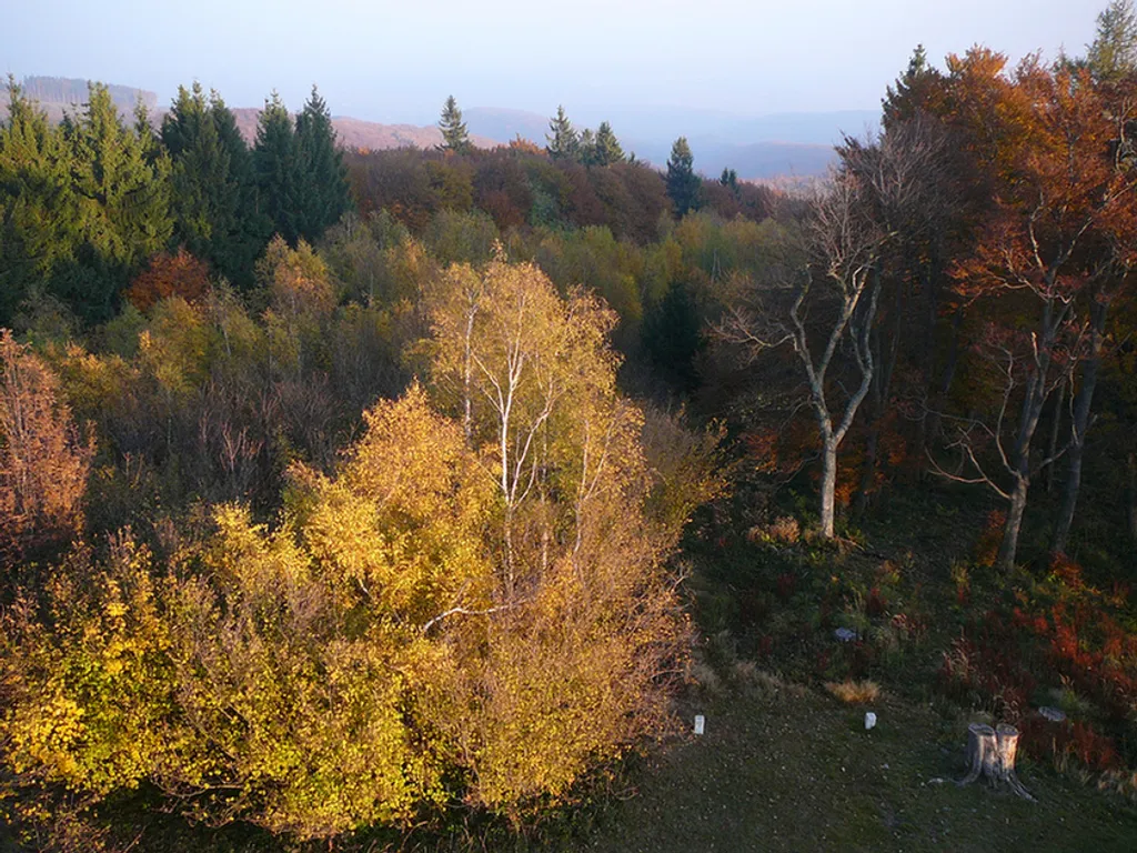 Fotó: dorkland / ongo 