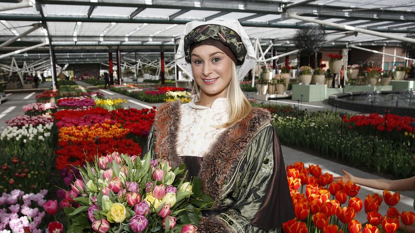 Keukenhof 2017