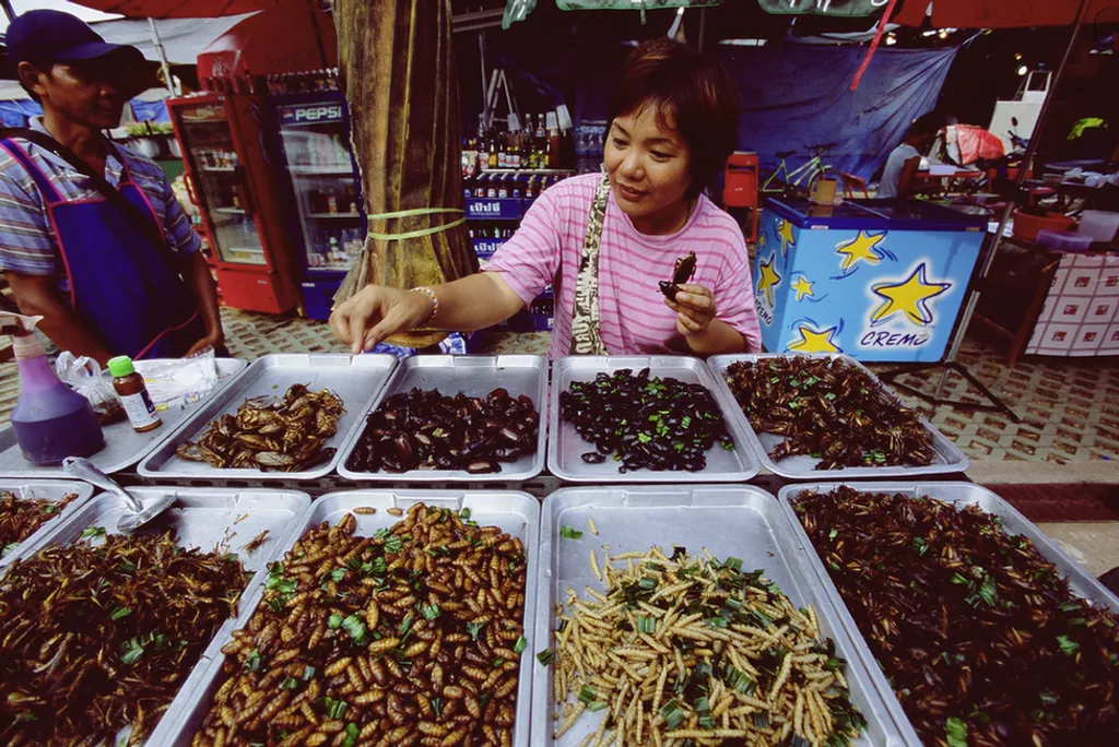 Fotó: Eric-Paul-Pierre Pasquier / Europress / Getty 