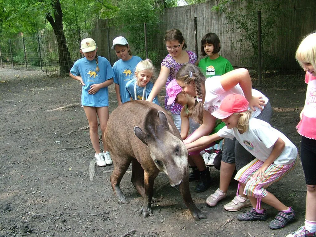 Fotó: ZOO GYŐR 