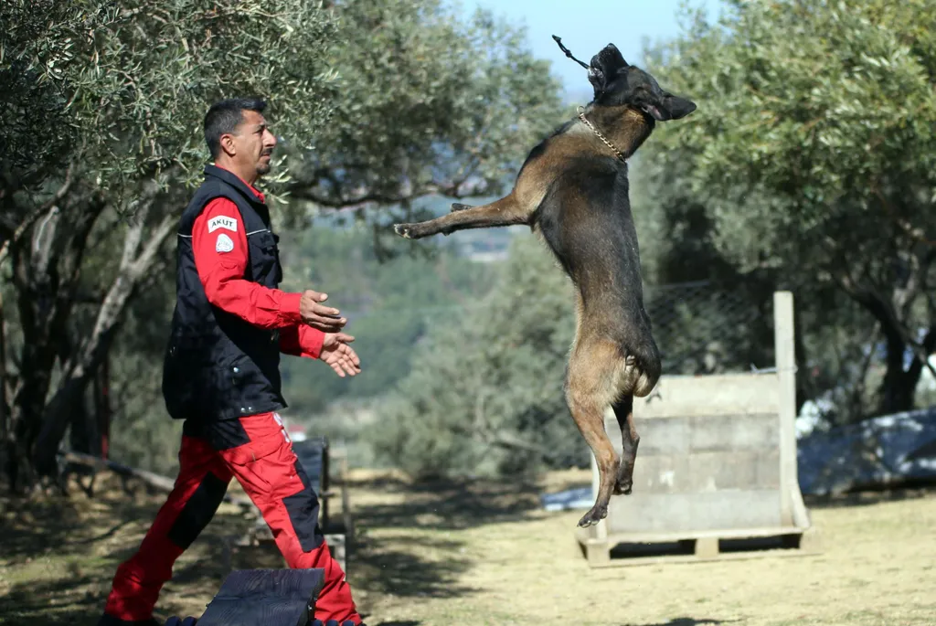Forrás:Anadolu Agency via AFP/2023 Anadolu Agency/Ferdi Uzun