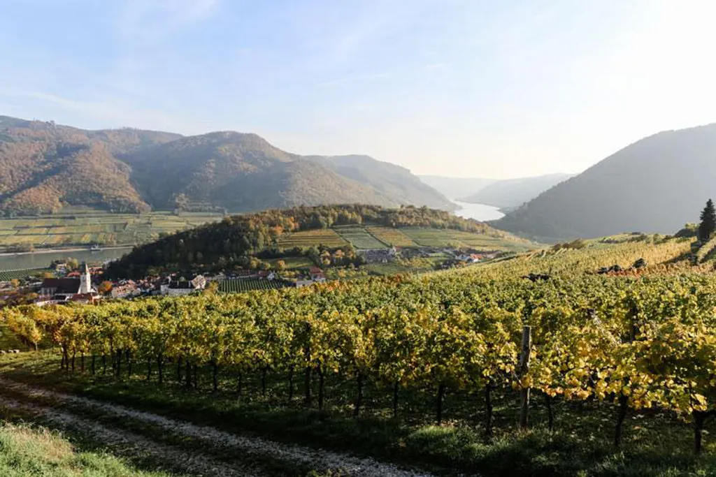 Fotó: niederoesterreich.at 