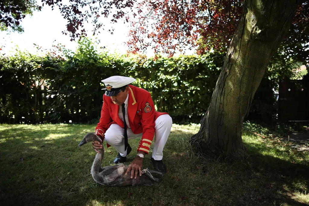 Dan Kitwood / Europress / Getty 