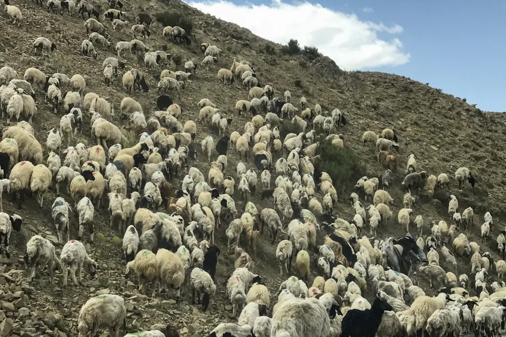 Forrás: Anadolu via AFP/2023 Anadolu/Ozkan Bilgin