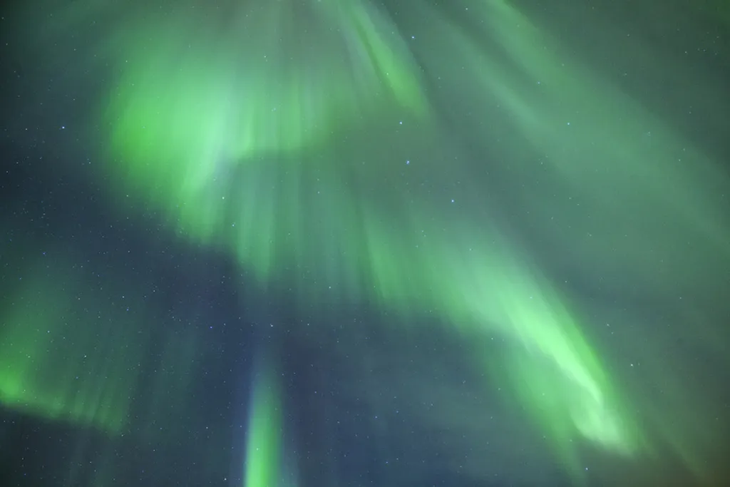 Fotó: Marko Korosec / Barcroft Usa / Northfoto 