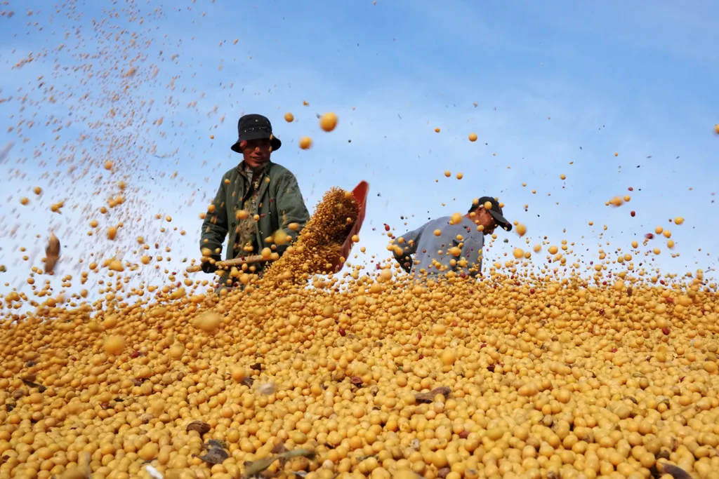 Forrás: Xinhua via AFP/Xinhua News Agency.All Rights Reserved/Wang Jianwei